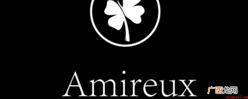 Amireux寓意是一半友情,一半爱情;朋友以上,恋爱未满 Amireux寓意