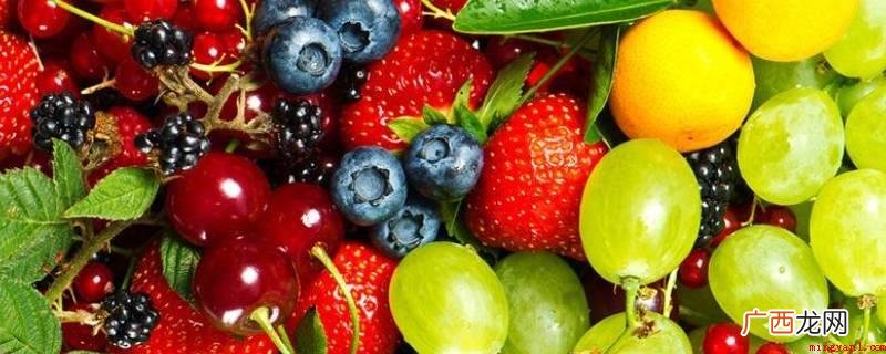 秋植采种、早春收砍,有丰富的糖分、水分、维生素、脂肪、蛋白质 冬天水果有哪些水果