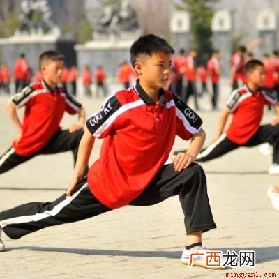 柔韧与大脑皮层神经过程的灵活性有密切的关系 人们通常把身体素质分为哪五大素质