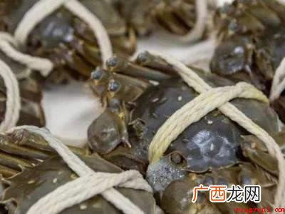 大闸蟹是河蟹的一种,河蟹学名中华绒螯蟹 带绳的大闸蟹怎么清洗