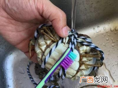 大闸蟹是河蟹的一种,河蟹学名中华绒螯蟹 带绳的大闸蟹怎么清洗