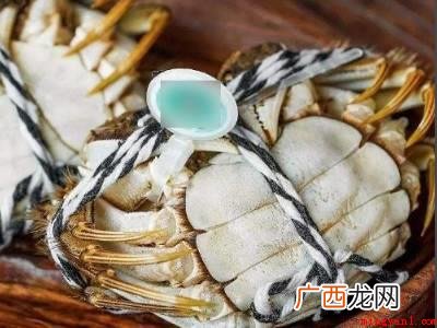 大闸蟹是河蟹的一种,河蟹学名中华绒螯蟹 带绳的大闸蟹怎么清洗
