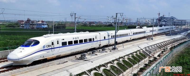 乘坐高铁不可以直接带宠物上车 坐高铁宠物怎么带回家