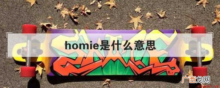 homie you feel me 我只想赚到更多钱 走这条 homie是什么意思