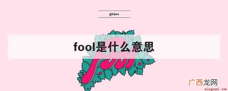 旧时宫廷的 fool可以翻译为“愚人,笨蛋;小丑,弄臣;受 fool是什么意思