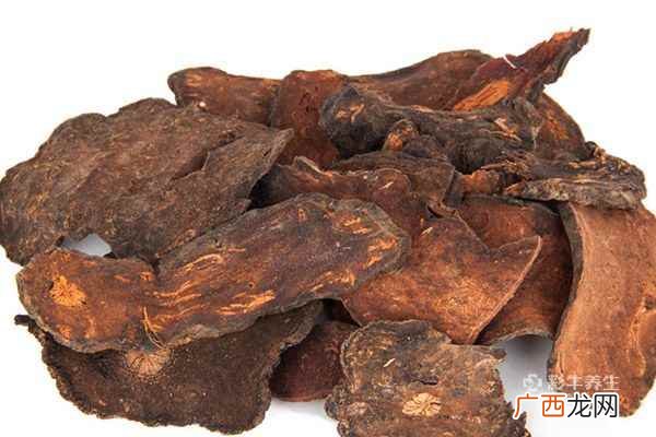 何首乌的功效与作用及食用方法
