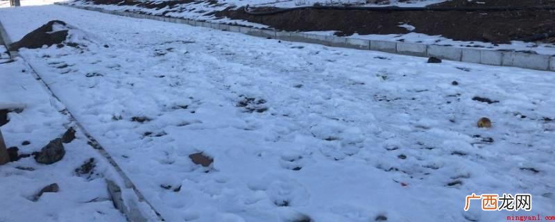 道路积雪清理有3种办法 道路积雪清理有几种办法