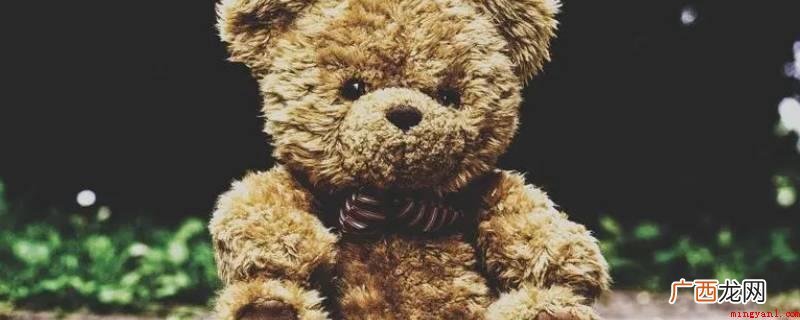 毛绒熊的填充物取出方法 1米8的毛绒熊怎么洗