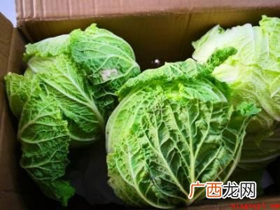 白菜挑选包心结实、无虫、无霉点的白菜,去掉外面的烂叶、黄叶; 大白菜怎么保存时间长