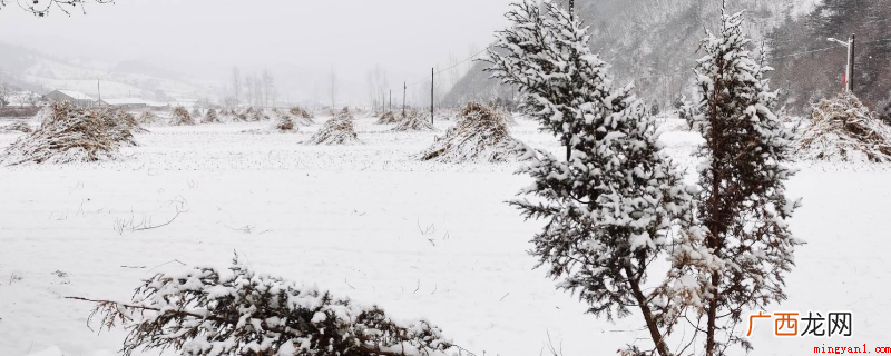 降雪4毫米,是指雪化成水有4mm,雪的厚度基本在5cm左右 4毫米的雪有多厚