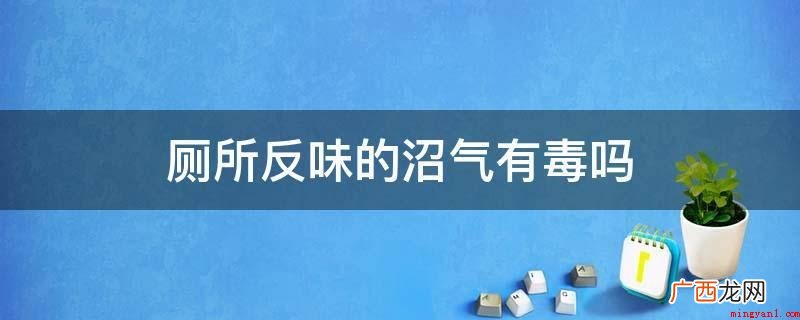 厕所反味的沼气有毒 厕所反味的沼气有毒吗