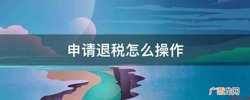 申请退税操作的方法/步骤 申请退税怎么操作