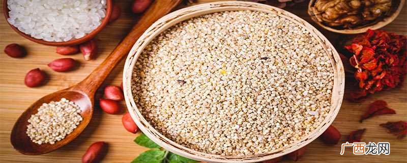 藜麦的表面有一层带苦味的东西 藜麦煮饭可以不用提前泡吗