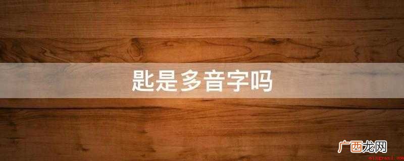 读音有区别词性和词义的作用 匙是多音字吗