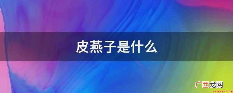 燕子指的是一个乱打的id 皮燕子是什么