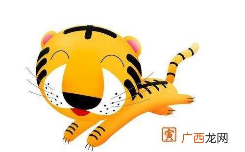 老鼠和老虎合不合