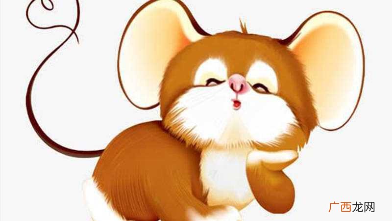 猪和鼠相冲吗