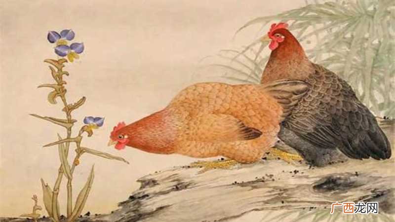 鸡蛇属相合吗
