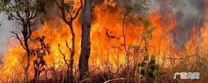 引起自然火灾的原因是雷电、火山爆发和长时间的高温干燥天气 引起自然火灾的原因是什么什么和什么