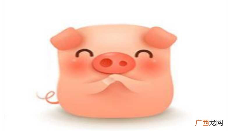 2007年出生的孩子是什么命