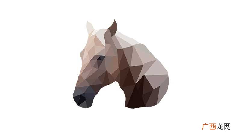马与猪属相合不合