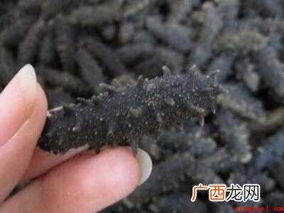 半干海参密封袋包装起来 半干海参怎么保存