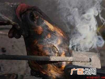 羊头肉参杞做法有哪些? 羊头如何处理干净