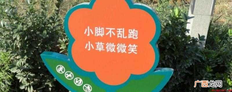 广场草坪上的标语牌是草坪宣传广告牌 广场草坪上的标语牌是什么