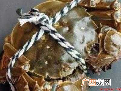 螃蟹的保存方法及注意事项 生河蟹怎么保存时间长