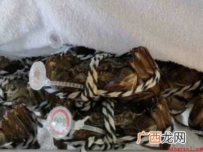 螃蟹的保存方法及注意事项 生河蟹怎么保存时间长
