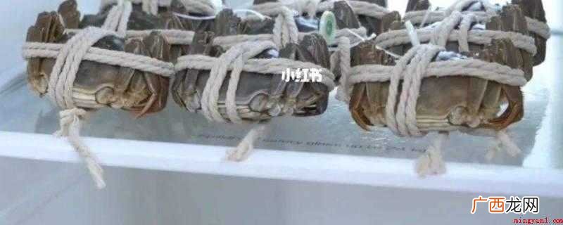 螃蟹的保存方法及注意事项 生河蟹怎么保存时间长