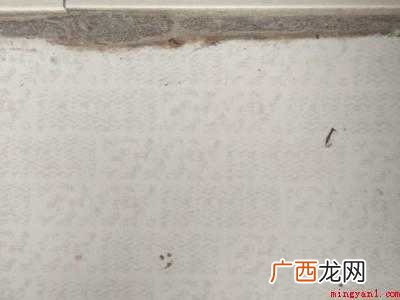 把湿巾放在粘气球的地板上,湿巾上倒白醋,让湿巾完全湿透 气球粘在地板上怎么弄