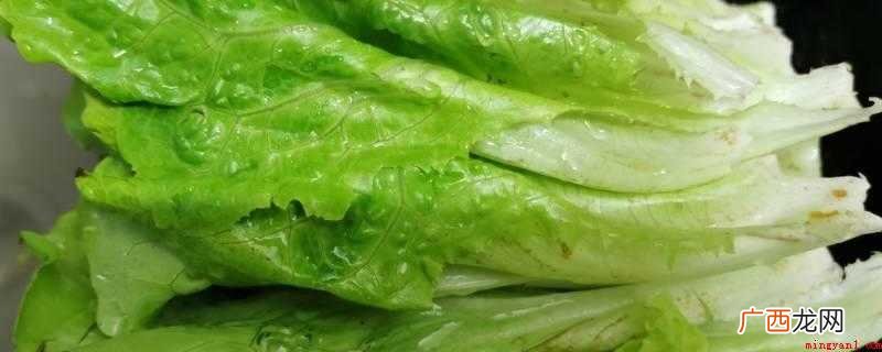 寓意吉祥的蔬菜有白菜、生菜、油菜、芹菜、萝卜、花菜等 寓意吉祥的蔬菜有哪些