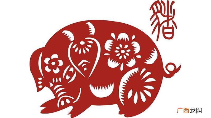 59岁属猪的是什么命