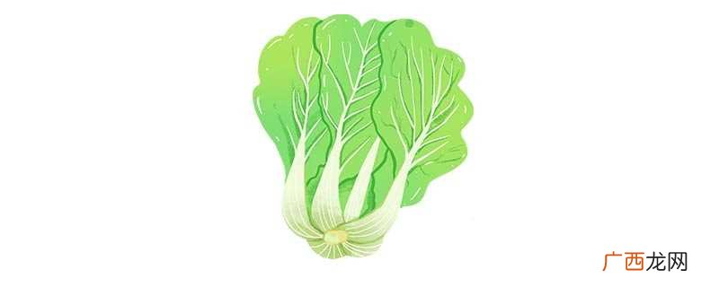 白菜保鲜储存方法有三种 白菜保鲜储存方法是什么