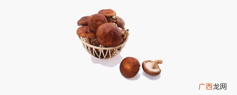 鲜香菇冷冻保存方法 鲜香菇冷冻保存的方法是什么