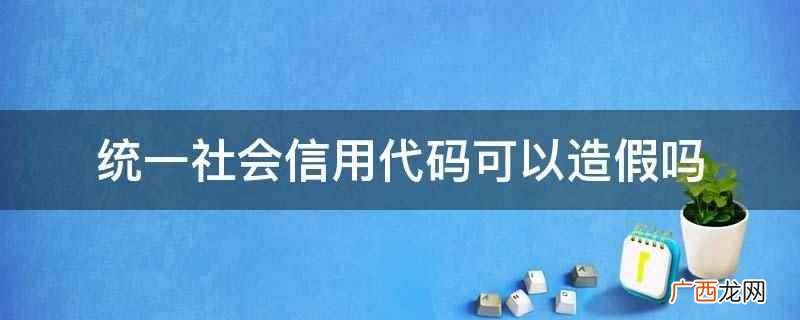 统一社会信用代码不可以造假 统一社会信用代码可以造假吗