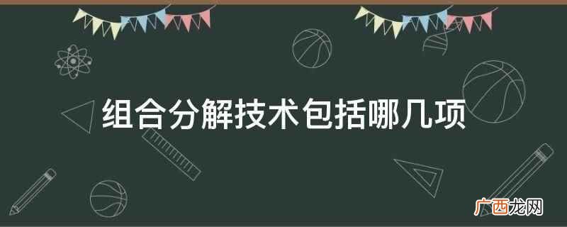 组合分解技术包括资产证券化技术、投资组合技术 组合分解技术包括哪几项