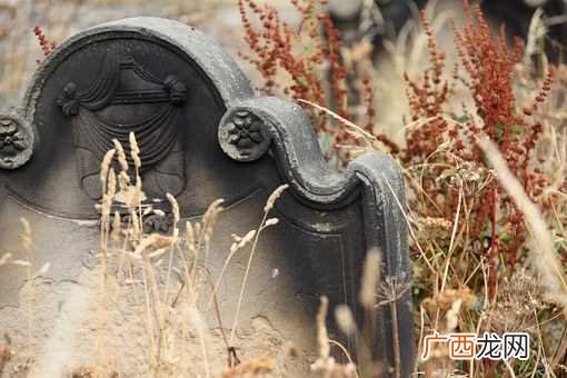 梦见死人了是什么预兆
