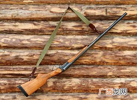 梦见枪是什么意思