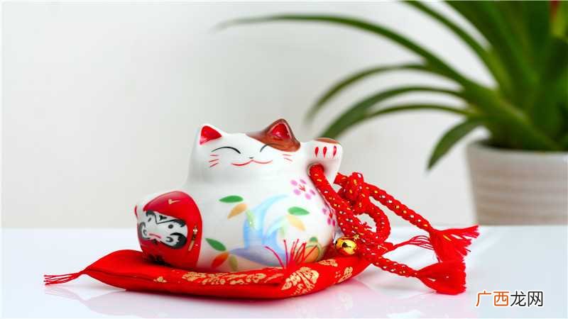 三花母猫也是招财猫的原型 三花猫为什么招财