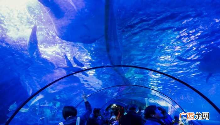 海底隧道的作用修建方式 海底隧道是在海底下吗