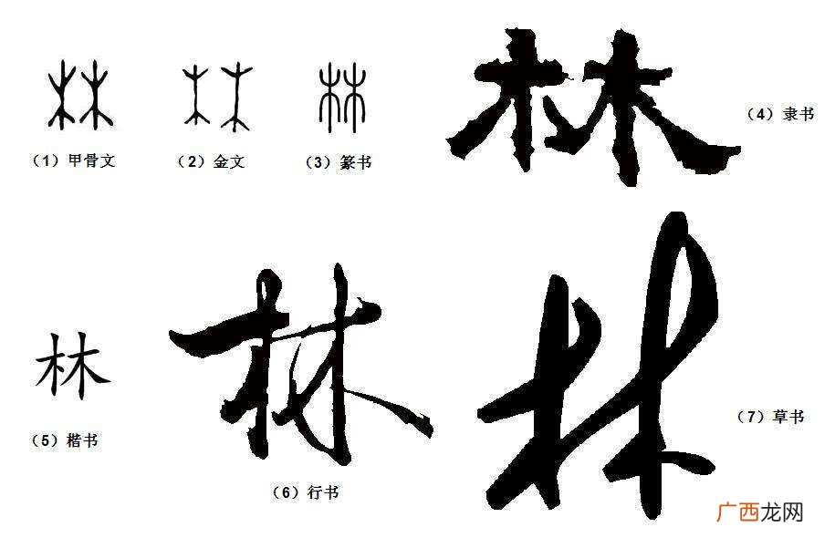 汉字的发展史及优点介绍 汉字是怎么来的