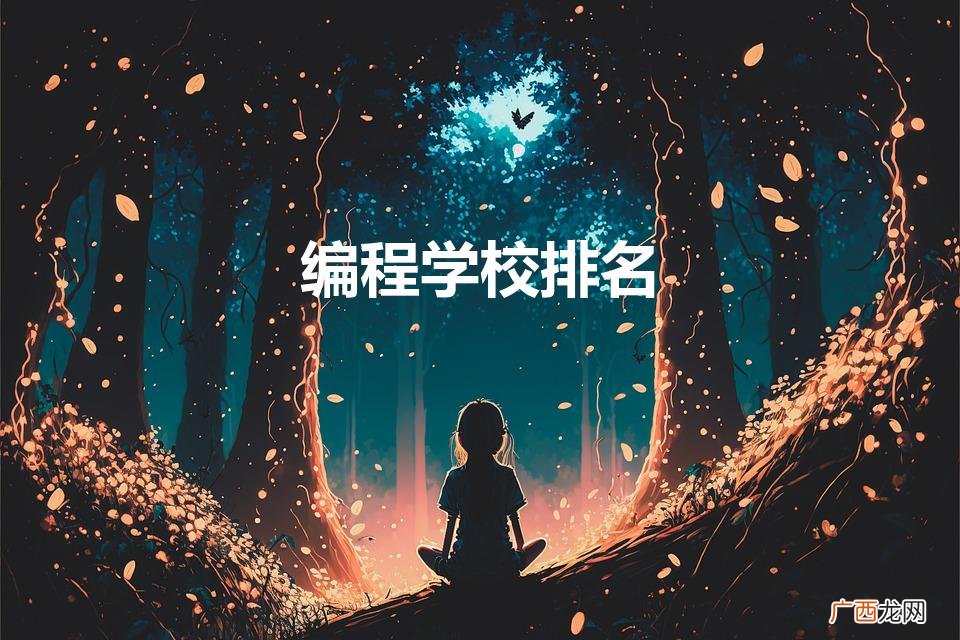 编程学校排名（学编程的正规学校)