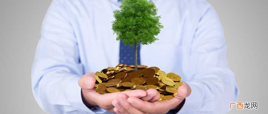 金钱树开花是什么预兆预示着主人的好运将至