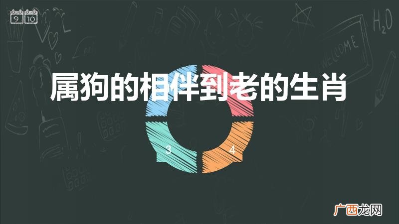 属狗白头偕老的生肖 属狗的相伴到老的生肖