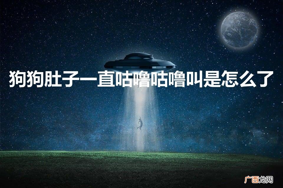 吃紧急避孕药腹泻怎么办 狗狗肚子一直咕噜咕噜叫是怎么了