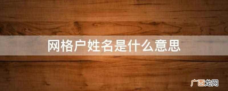 网格户姓名是指有规律的划分出来区域的户籍