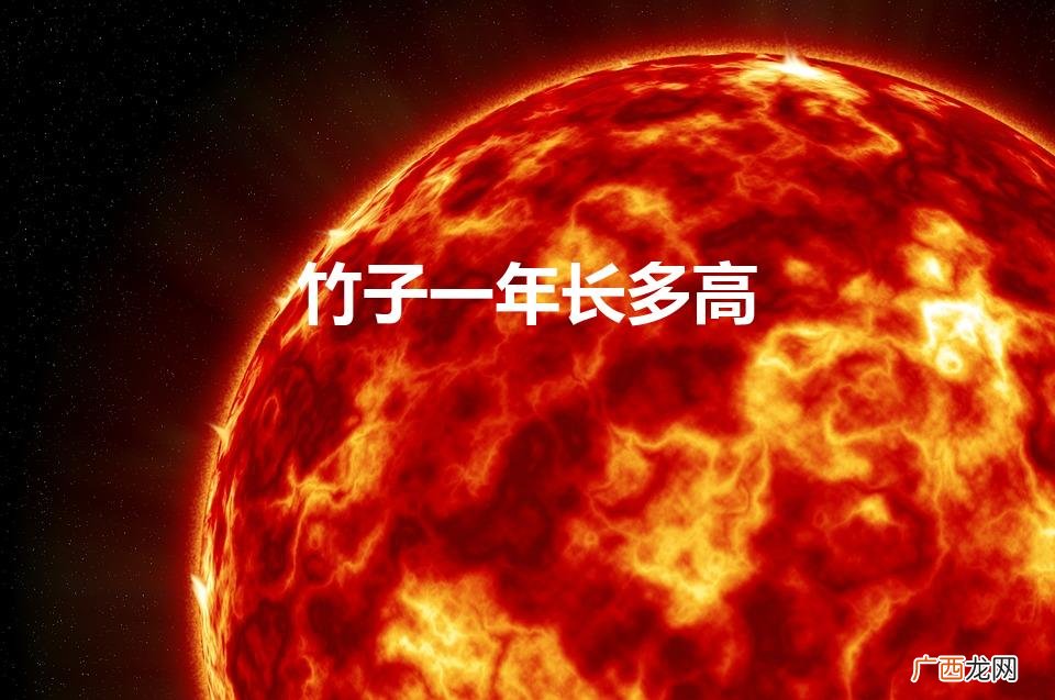 竹子一年长多高（竹子一年长多少厘米,一年之后呢)