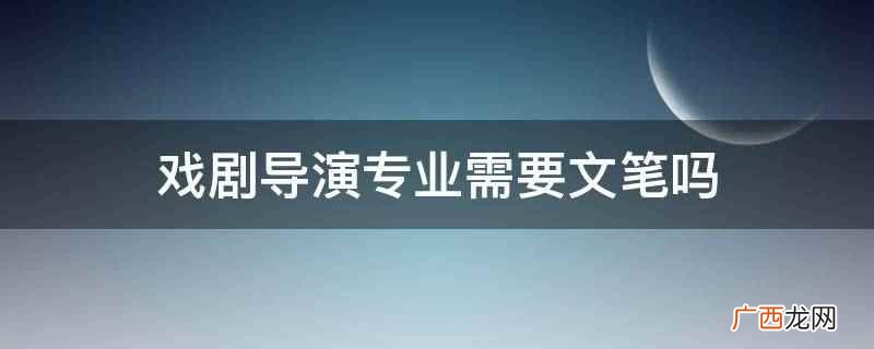 戏剧导演专业需要文笔 戏剧导演专业需要文笔吗